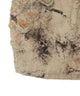 肩ベルトVネッククロップドT