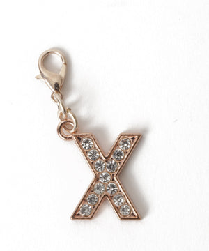 X（柄24）