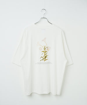 柄３