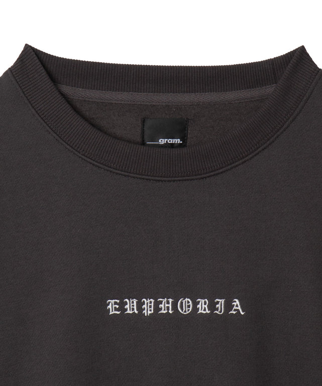 アーチバックロゴグラフィックプルオーバー