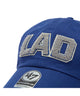 柄２：LAD