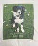 spectra フォトTシャツ