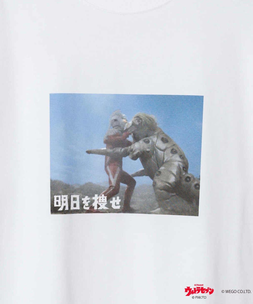 柄21