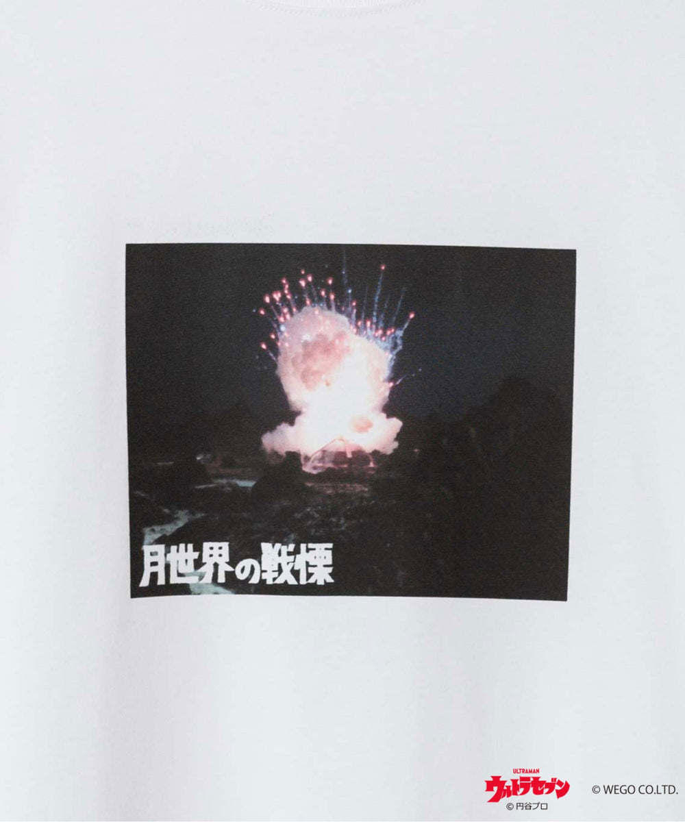 柄33